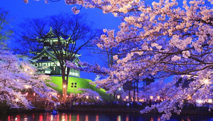 сакура Япония Осака