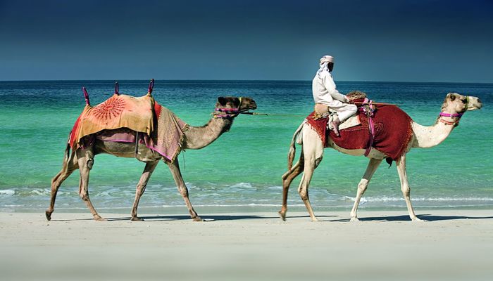 гостиница Ритц Эмираты