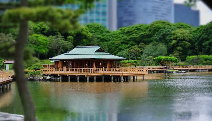 туры по Токио