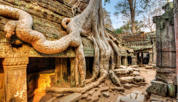 экскурсии в Сием Риеп