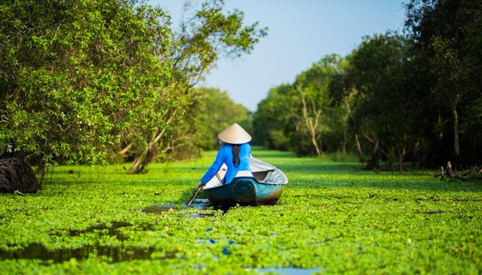 поездки в Меконг экскурсии