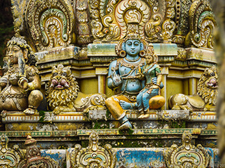 Отдых в Шри-Ланке