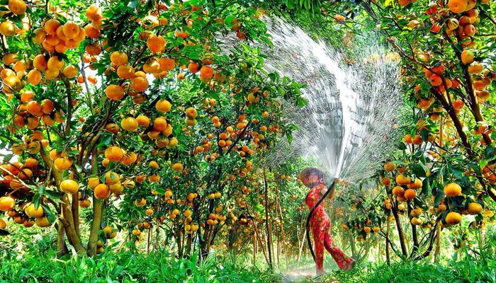 тур по всему Вьетнаму