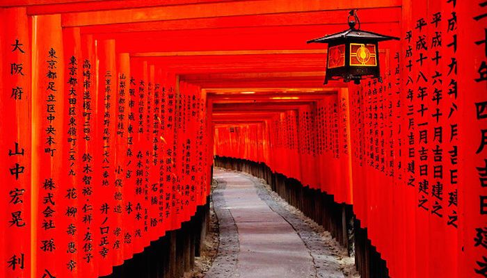 индивидуальный тур в японию