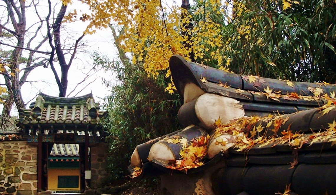 туры по Корее