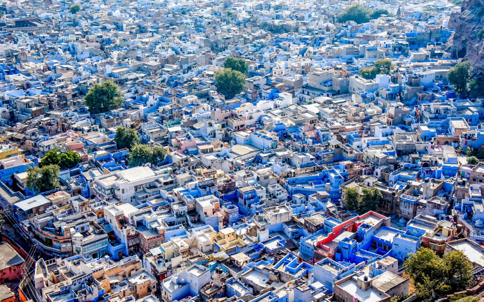 голубой город в Индии, тур в голубой город Джодхпур