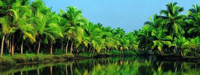 Керала. Групповые Туры в Индию. 