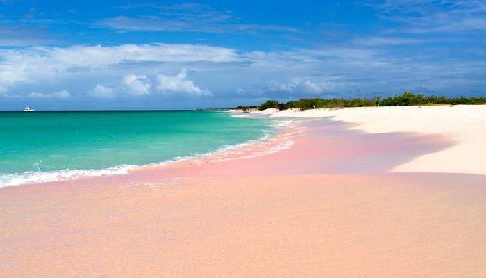 Прогулка по пляжу 17 Mile Beach в Барбуде.