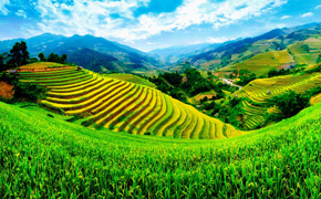 Цены на туры во Вьетнам