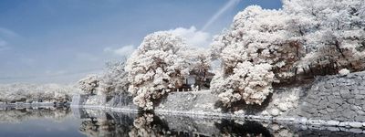 Групповой тур в Японию на Новый год