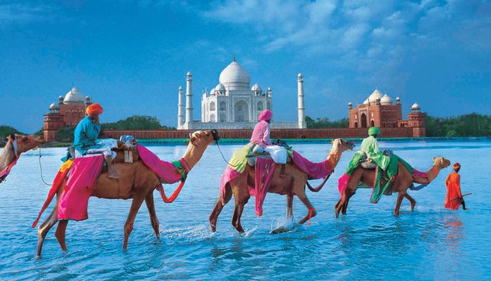 новый год тур индия