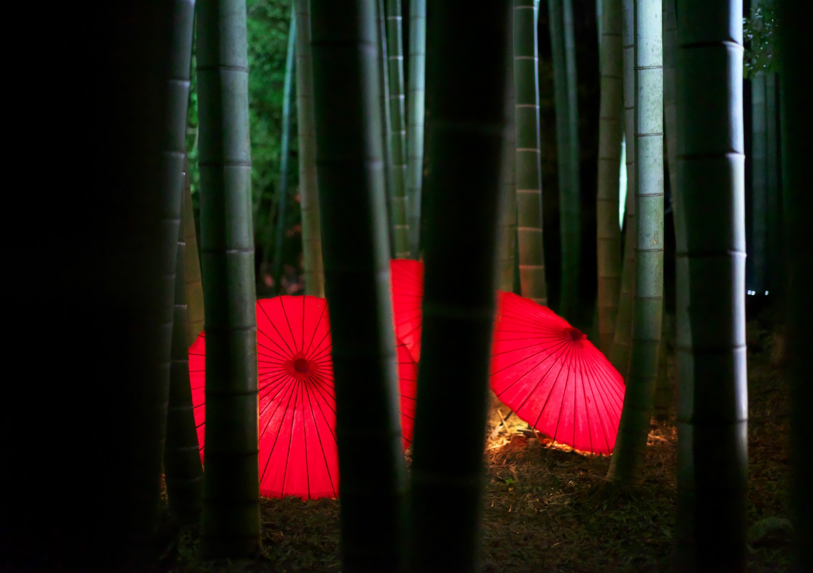 поїздка кіото