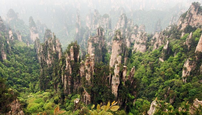 туры аватара