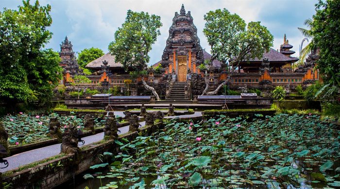 тури на балі