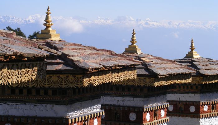 туры по бутану