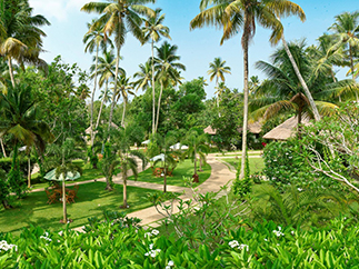 Отель в Керале Carnoustie Ayurveda сады