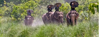 Тур в Непал Читван