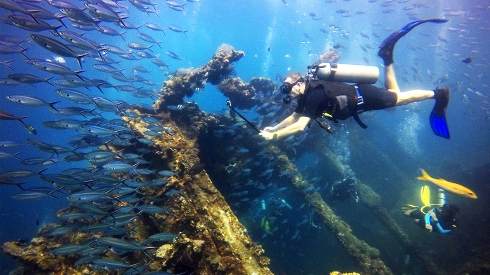 дайвинг на о джеджу