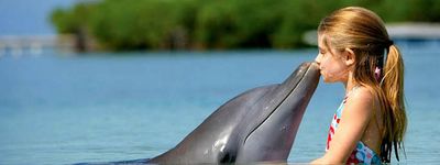 Дельфинотерапия на Бали