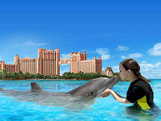 Дельфинарий на Багамах