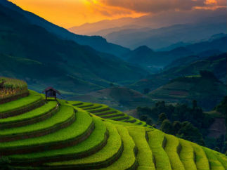 Серфинг Бали