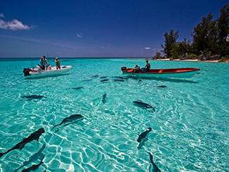 Отдых на Сейшелах