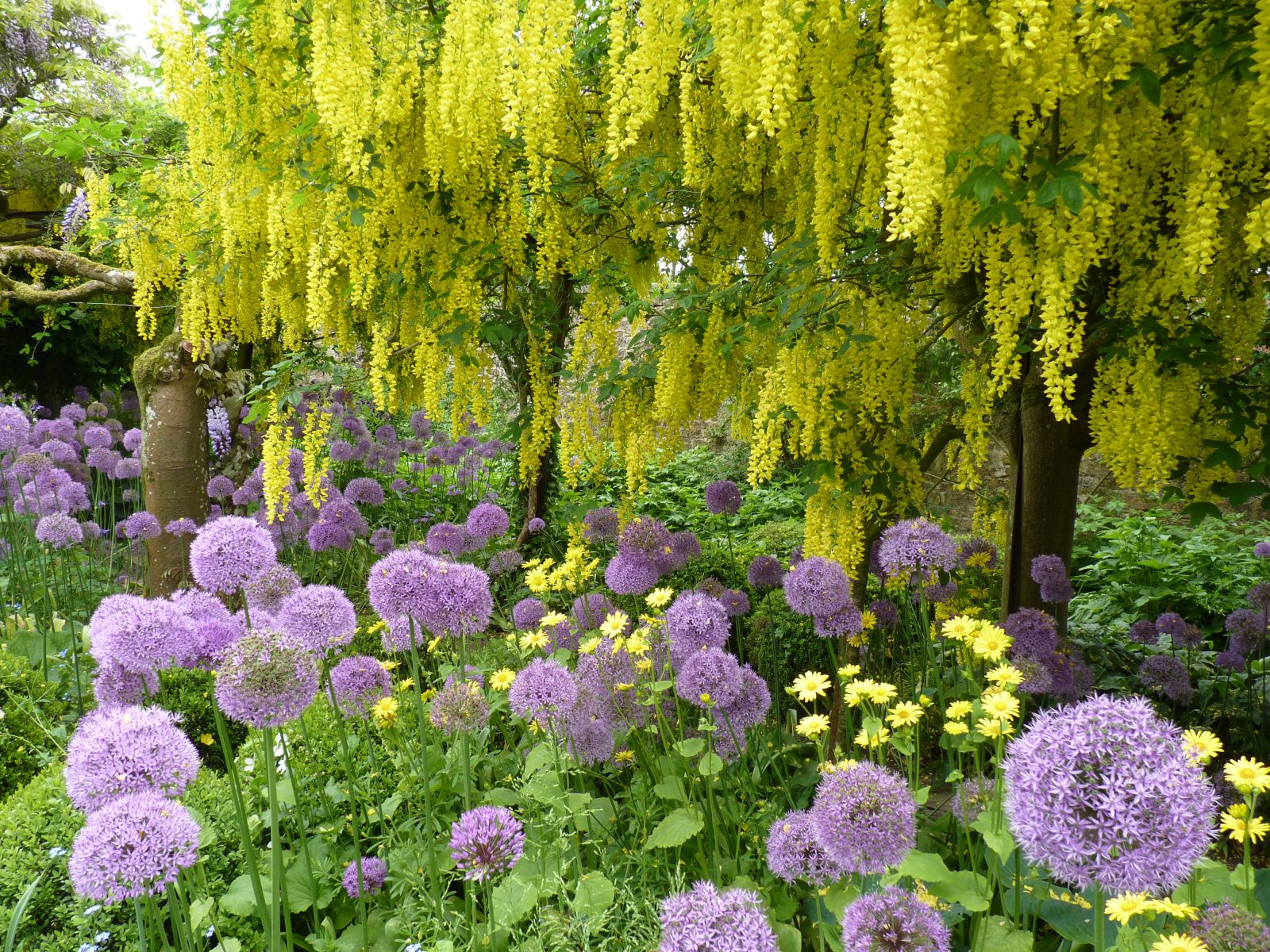 парки Лондона