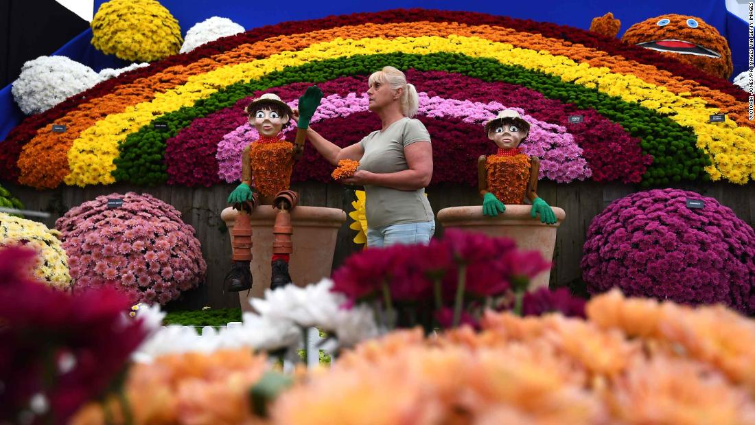 виставка квітів Лондон