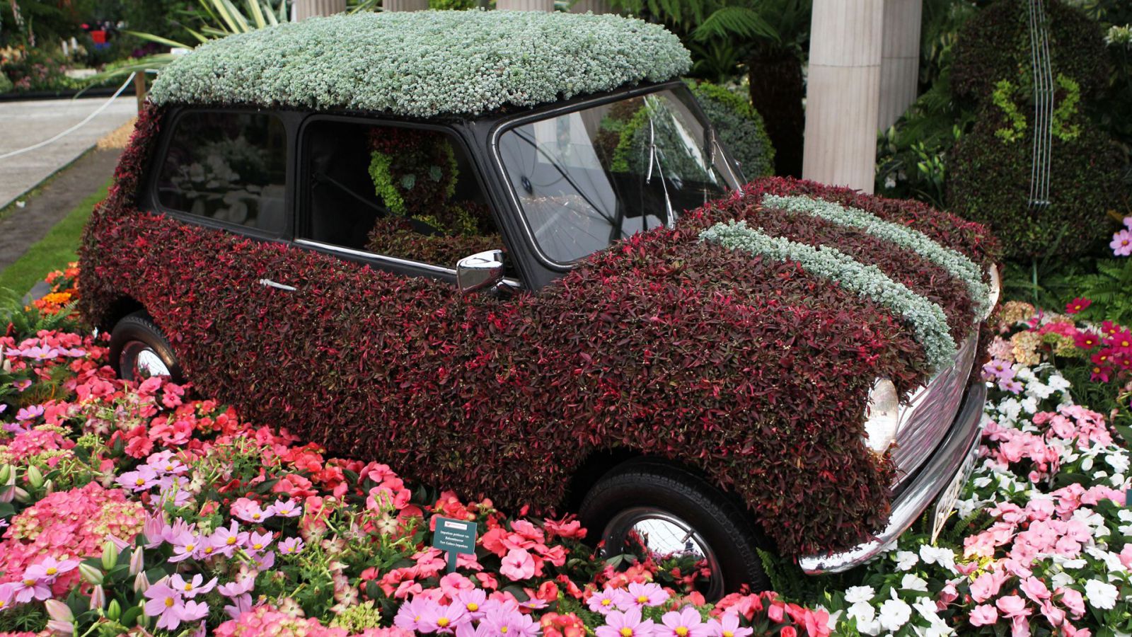 квіткова виставка в Лондоні