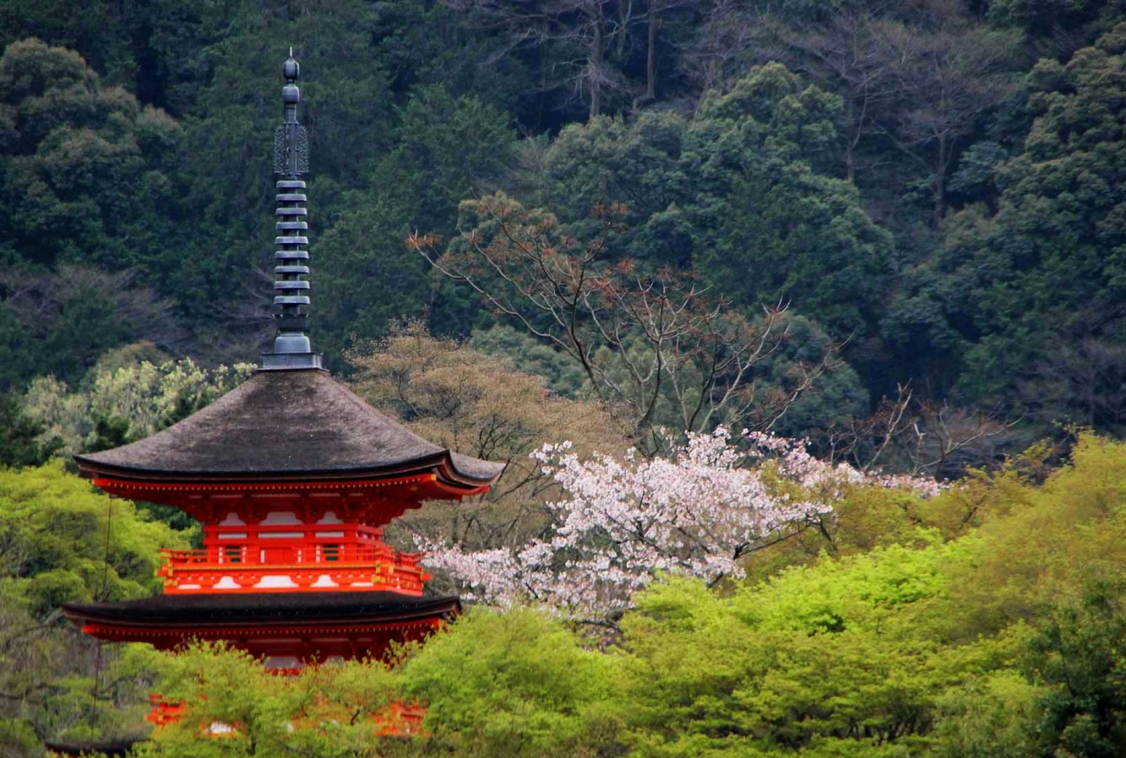 групповые туры в японию для украинцев