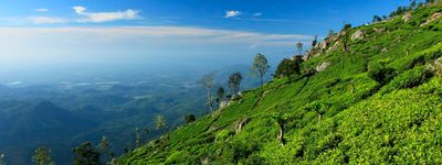 Туры на Шри-Ланку