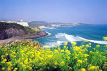 Отели на Чеджу