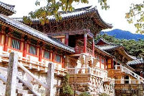 Отели Кенджу цены