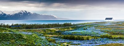 Туры в Исландию. Майские праздники