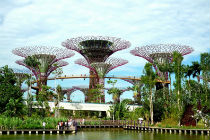 поездка в сингапур