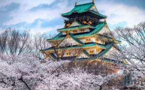 Цены на туры в Японию