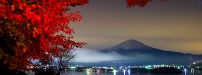 Японские клены