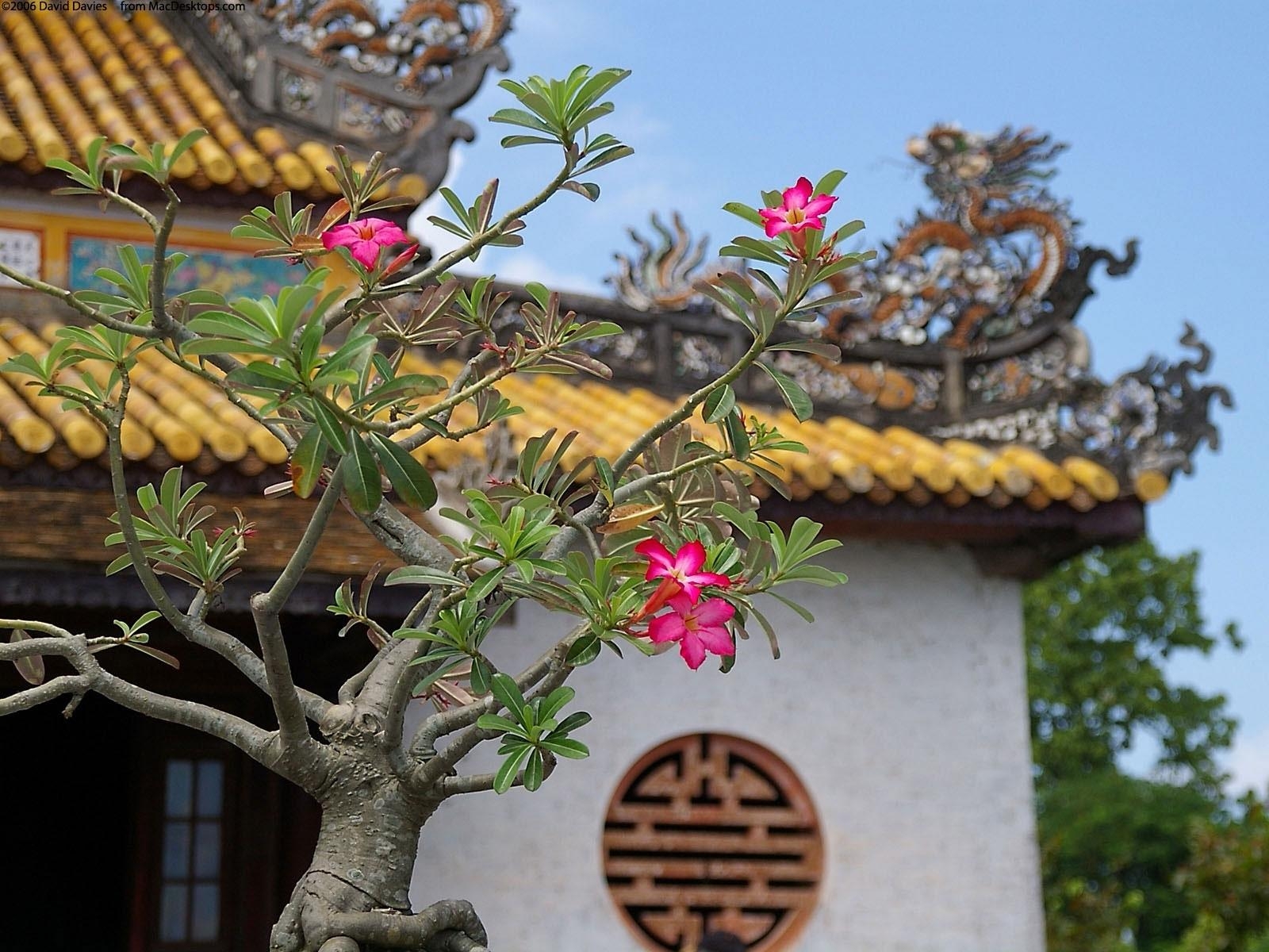 индивидуальные экскурсии по Токио