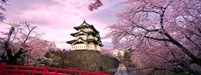 Туры в Японию