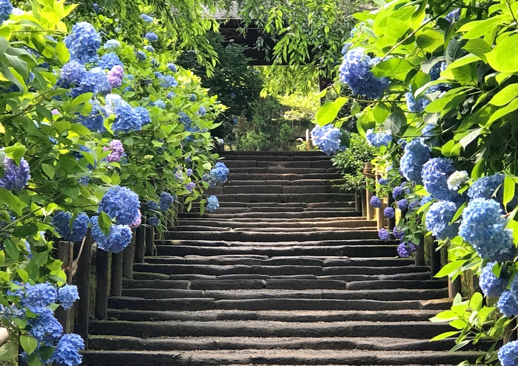 камакура экскурсия