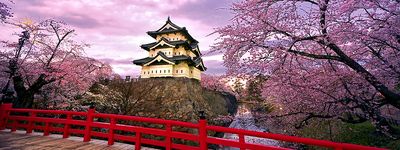 Экскурсионные туры в Корею. Cакура в Корее