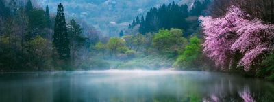 Парки и храмы Кореи. отдых в Корее