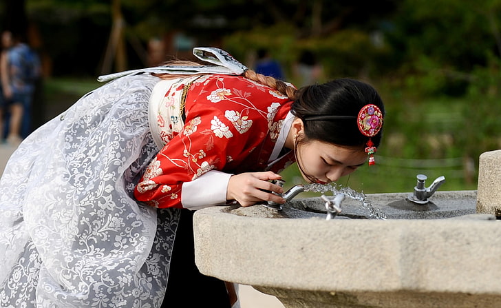 поездка по Корее