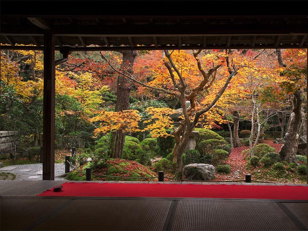 экскурсии киото