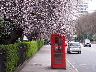 Погода в Лондоне весной