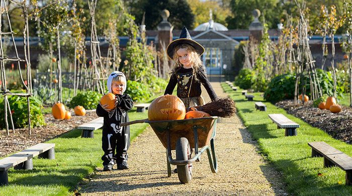 отдых в Лондоне с детьми