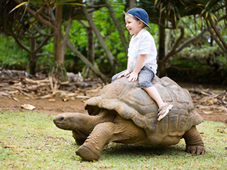 Экскурсии на Маврикии