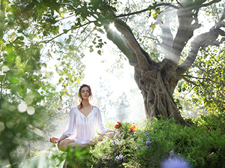 Йога и медитация в Индии