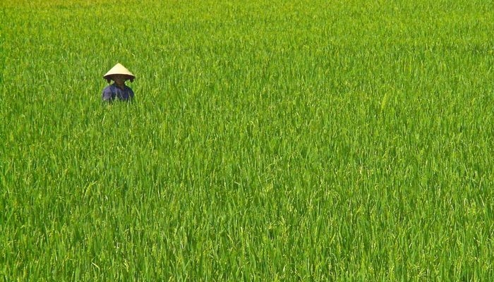 туры на фукуок и меконг