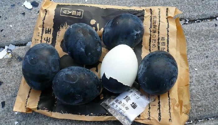 поездки в японию на цветение глицинии